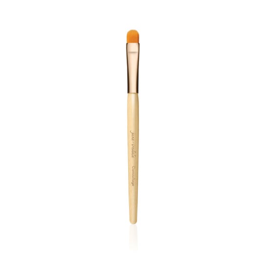 Jane Iredale Pinceau Camouflage #10 1ut