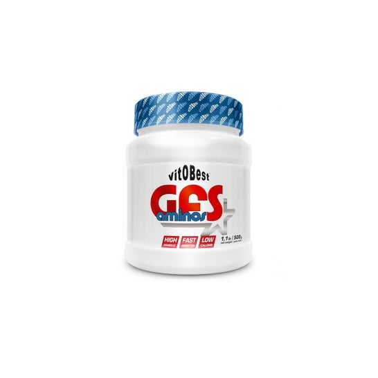 Vitobest Gfs Aminos Melon sauvage 500g