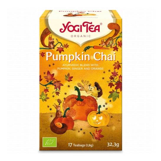 Yogi Tea Infusion Pumpkin Chai Bio 17 Sachets