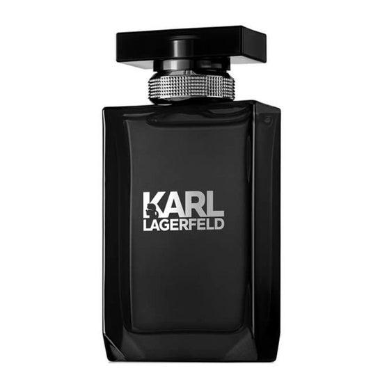 Karl Lagerfeld Eau De Toilette Hommes Hommes 50ml Steamer