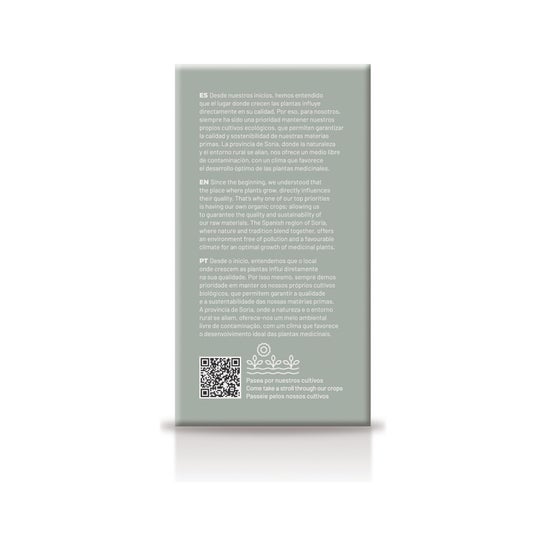 Soria Natural Thyme Infusion 20 filtres