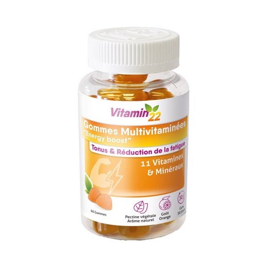 Ineldea Vitamin'22 Gommes Multivitaminées 60 Gummies