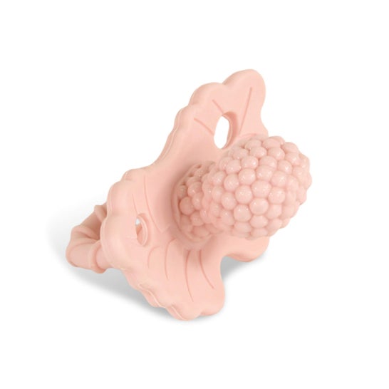 RaZbaby Anneau de Dentition Rose Bleu 1ut