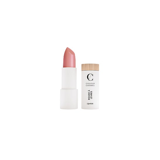 Couleur Caramel Lipstick Satin Refill N258 1ud
