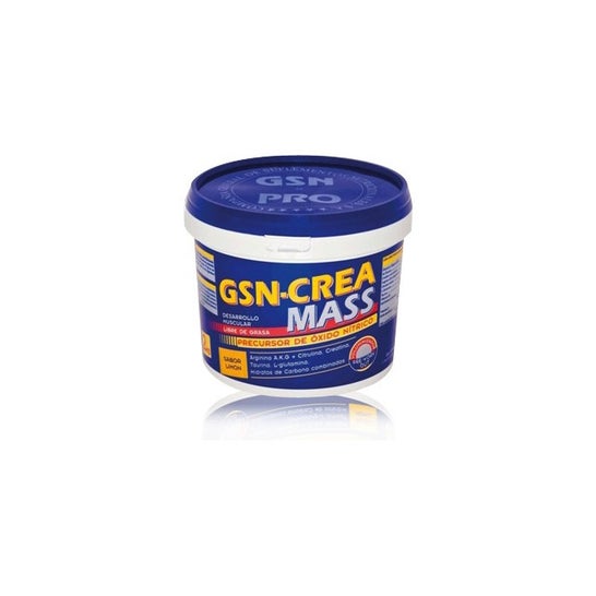 Gsn Crea-Mass Sabor Naranja 2kg