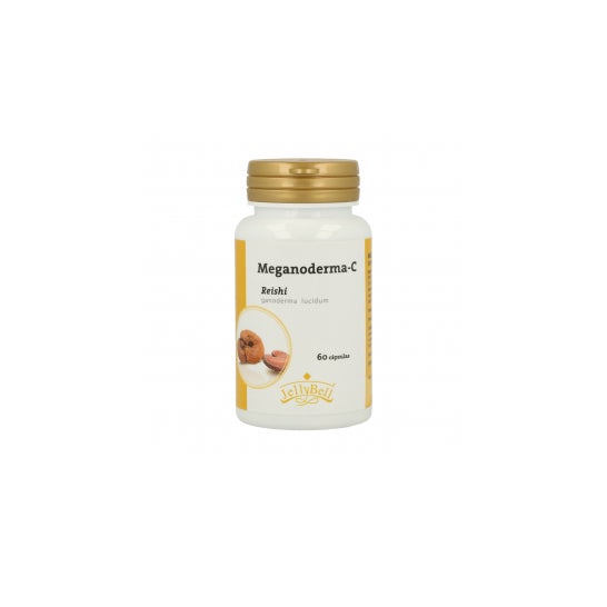 Auroshikha Cônes Jardin Naturel Parfum Cannelle 20pcs