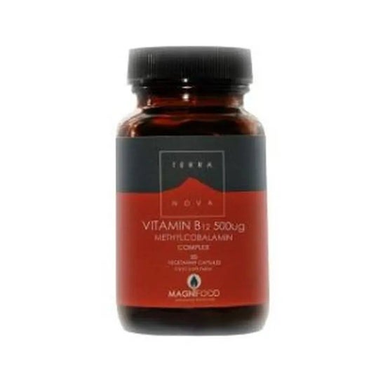 Terre-Neuve Vitamine B12 500 Ui Complex (méthylcobalamine) 50 Capsules Terre-Neuve Vitamine B12 500 Ui Complex (méthylcobalamine) 50 Capsules