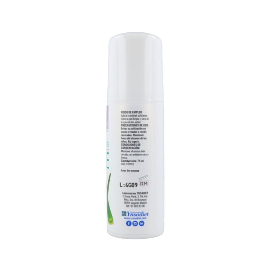 Ynsadiet aloe vera déodorant 75ml