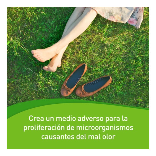 Funsol® poudre 60 g