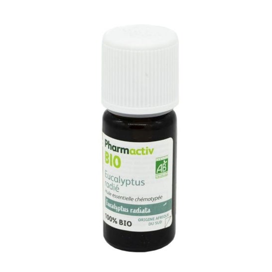 Pharmactiv Huile Essentielle Eucalyptus Radié Bio 10ml