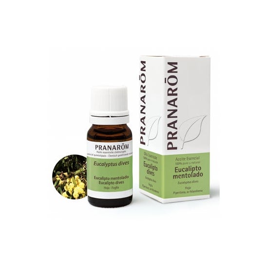Eucalyptus Ment Pranarom He 10ml