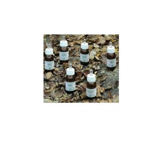 Alchemica Valgelata Zeiter huile de masse 50Ml