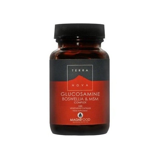 Terranova Glucosamine Boswelia Msm Complex 100caps