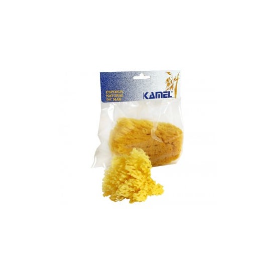 Kamel™ grande éponge naturelle