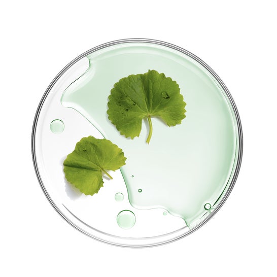 Mizon Cicaluronic Water Fit Mask 24g