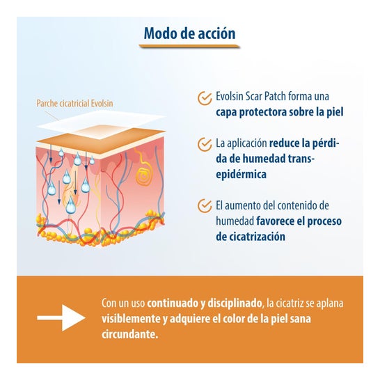 Evolsin Pansement Cicatrice 2m