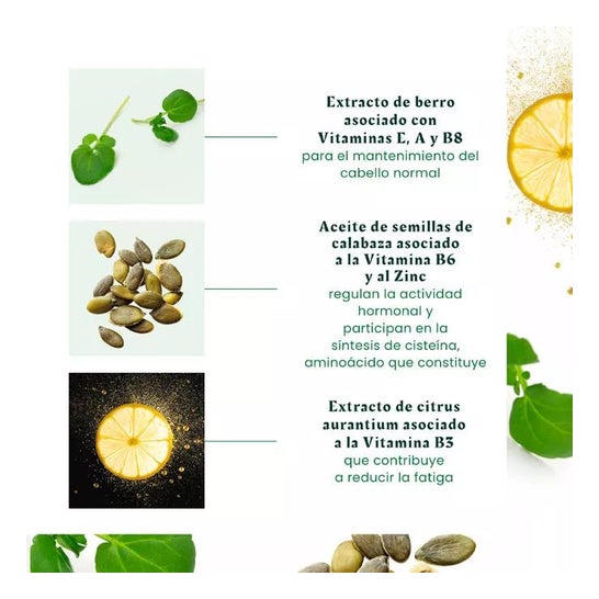 René Furterer Vitalfan Antichute Progressive 30 Gélules René Furterer Vitalfan Antichute Progressive 30 Gélules