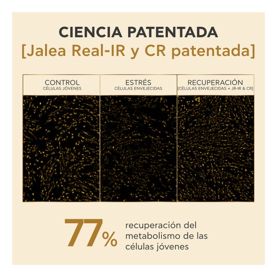 Apivita Queen Bee Longevity Rich Crème de Jour 50 ml