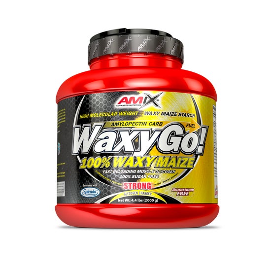 Amix WaxyGo! Frutas del Bosque 2kg