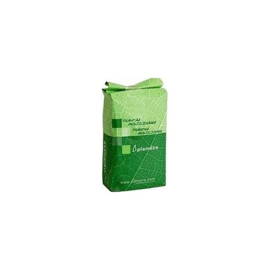 Plameca Harpagofito écrasé 1kg