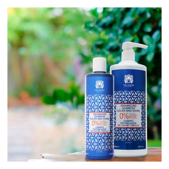 Shampooing Valquer Colour &amp; Gloss Enhancing Shampoo 400 ml