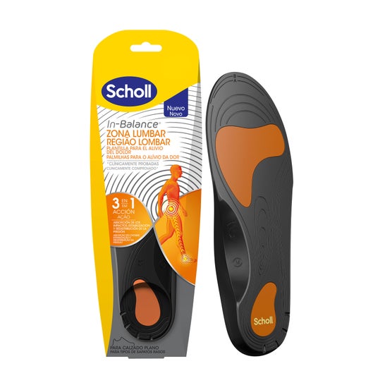 Gabarits de la zone lombaire en équilibre Taille M