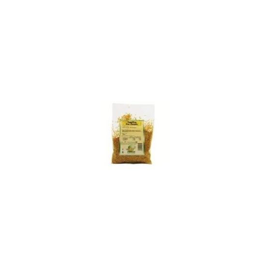 Graine de lin Pinisan Golden Seed 250 g