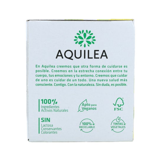 Infusions d'achillée millefeuille Gaz 20 sachets