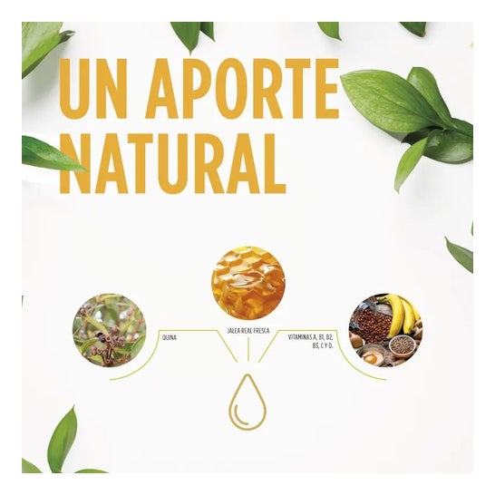 Jelly Kids Apetit 250 ml Jelly Kids Apetit 250 ml