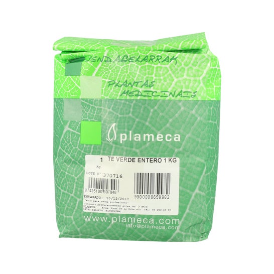 Plameca Thé Vert Feuille d'Herbe Ent 1Kg