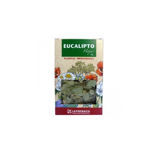 Eucalyptus pyrénéen Feuilles d'Eucalyptus 80g
