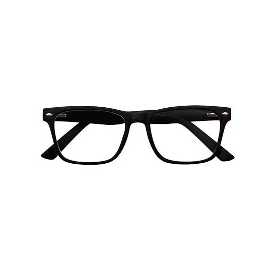 Lunettes Nordic Vision modèle Gotland PC couleur dioptries brunes +0