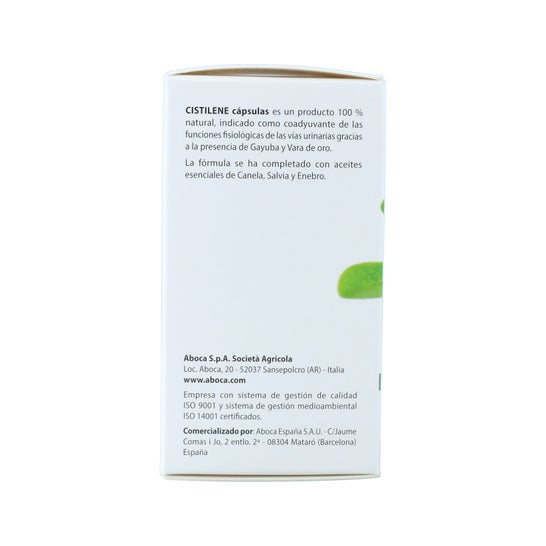 Cistilene 50 gélules