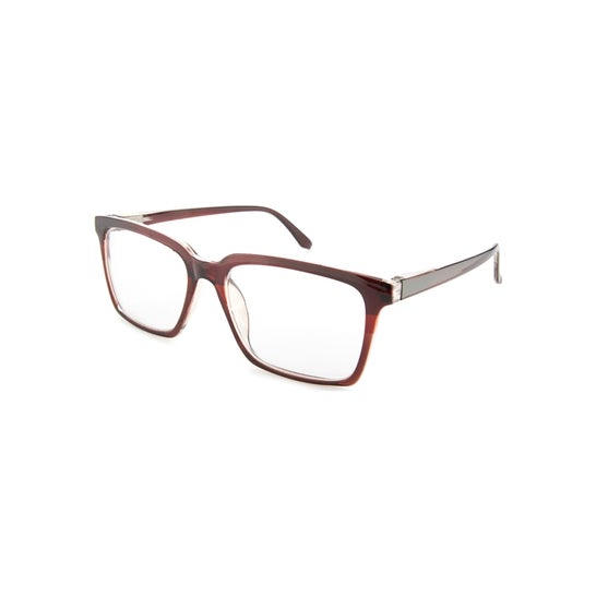 Nordic Vision Lunettes Borgholm +1.00 1 Unité