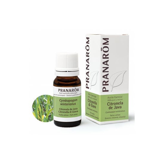 Pranarôm Huile Essentielle Citronnelle de Java 10ml