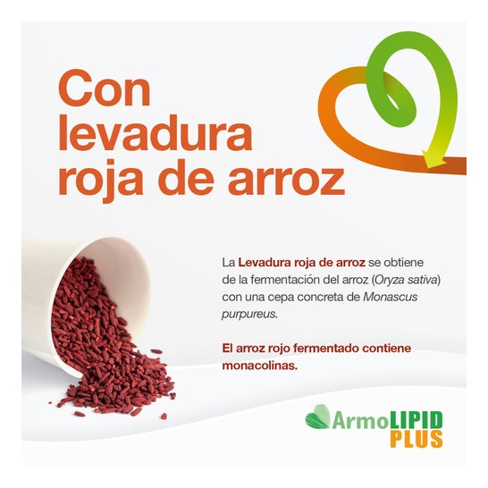 ArmoLIPID Plus Control Cholestérol 60 Comprimés