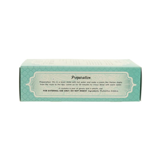 Radhe Shyam Amla Traitement capillaire ayurvédique Eco 100g