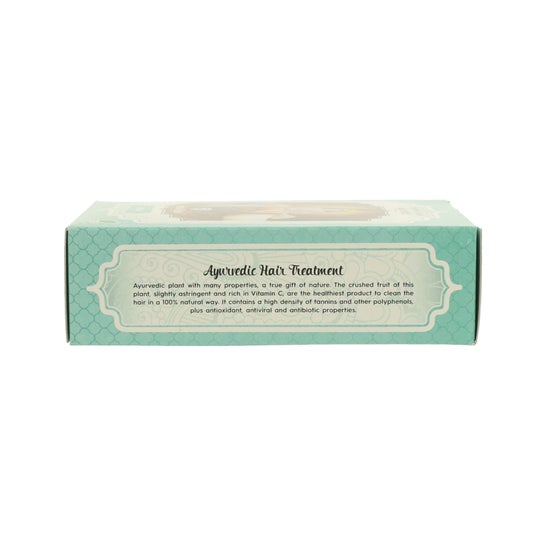 Radhe Shyam Amla Traitement capillaire ayurvédique Eco 100g