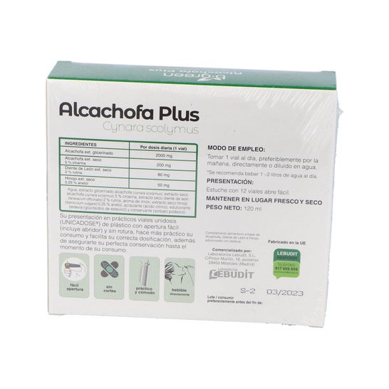 B-Artichaut vert Plus 12 pièces