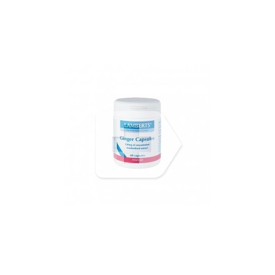 Lamberts gingembre 60càps