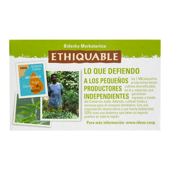 Ethiquable Té Verde Jengibre y Lima Eco 20uds