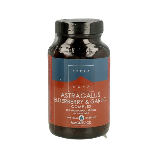 Terra Nova Astragalus Elderberry Garlic Comp 100caps