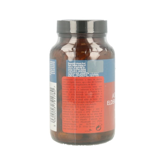 Terra Nova Astragalus Elderberry Garlic Comp 100caps