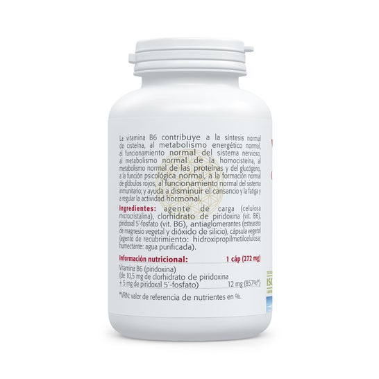 Sura Vitasan Vitamine B6 60 gélules