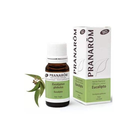 Pranarôm Bio Huile Essentielle Eucalyptus Globuleux 10 ml