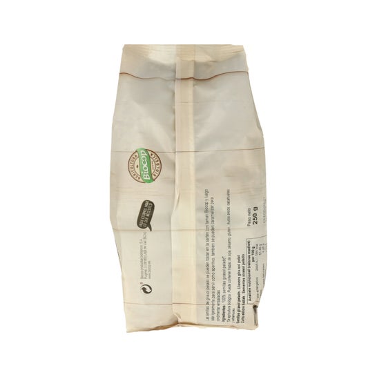 Biocop Graines Tournesol Bio 250g
