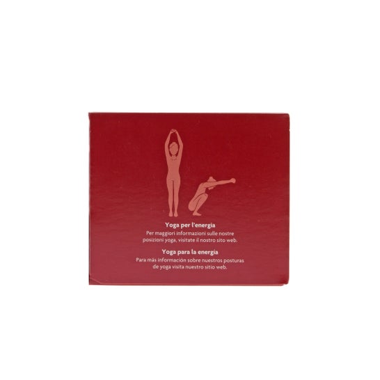Yogi Thé énergie positive myrtilles 17 sachets