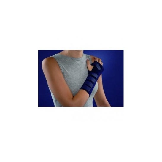 Intex attelle métapulmonaire droite attelle poignet attelle T-M