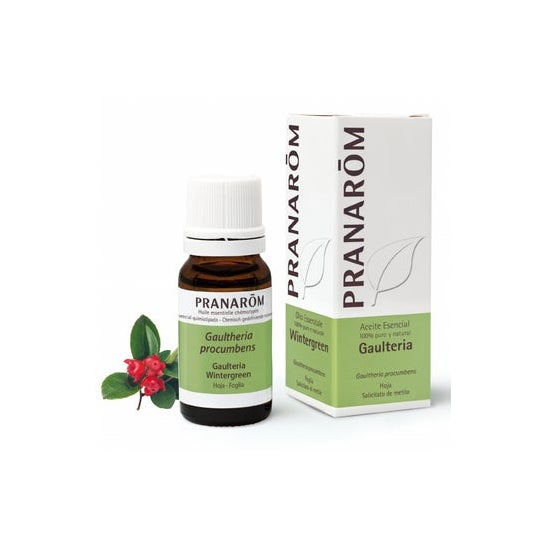 Pranarôm Huile essentielle Gaulthérie couchée 10ml