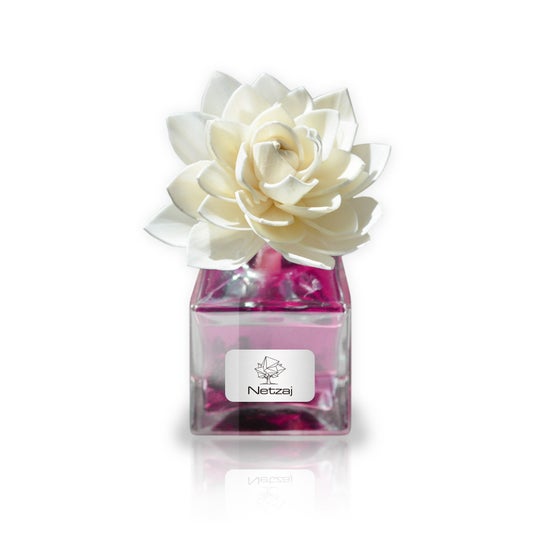 Netzaj Rafraîchisseur d'air Fleurs Citronnelle 100ml